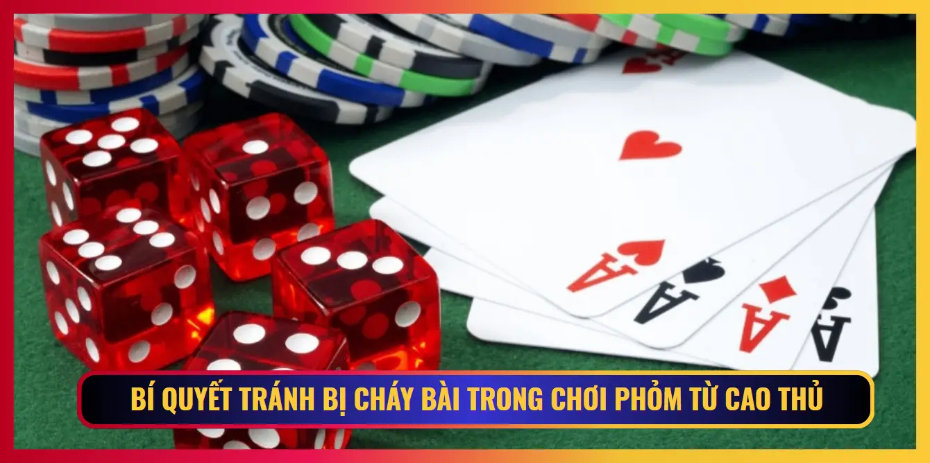 Tránh Bị Cháy Bài Trong Phỏm - Lộ Trình Chi Tiết Nhất