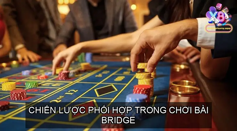 Kinh nghiệm phối hợp đồng đội trong chơi bài bridge