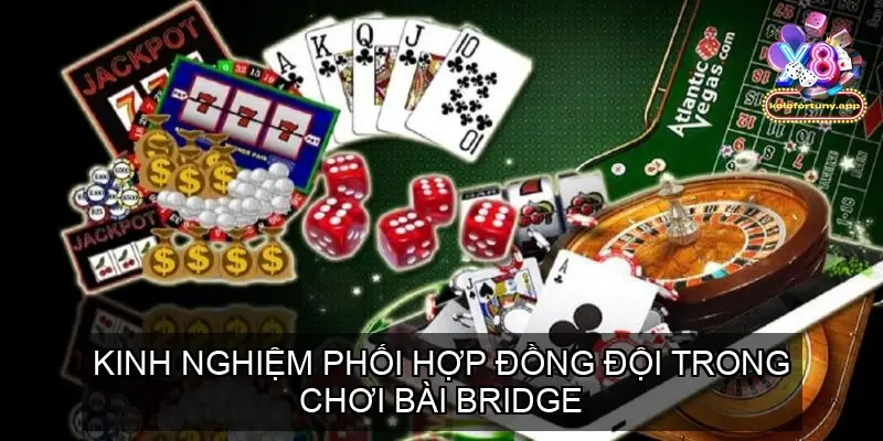 phoi hop dong doi bai bridge 68f99b3e226c2